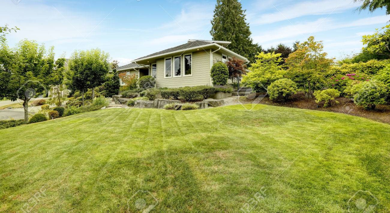 Beautiful front yard
