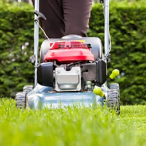Lawn Care